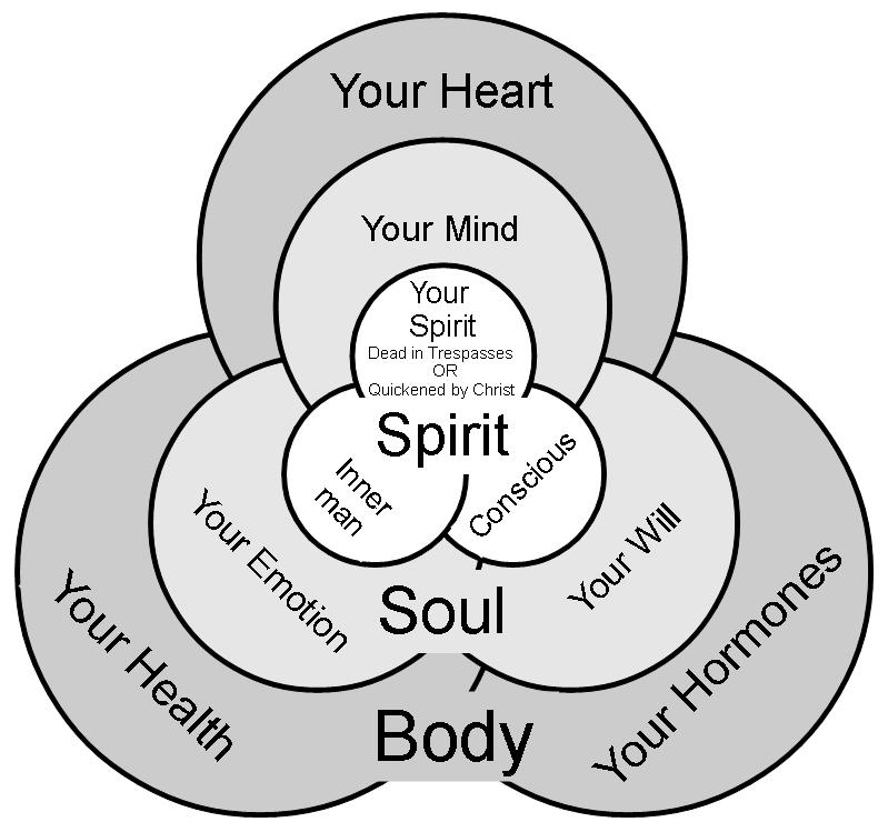 Body-Soul-Spirit Model